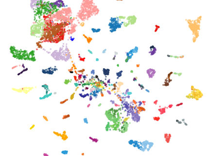 Tumor diagnostics: AI model detects more than 170 types of cancer