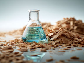 Sustainable Plastics from Plants