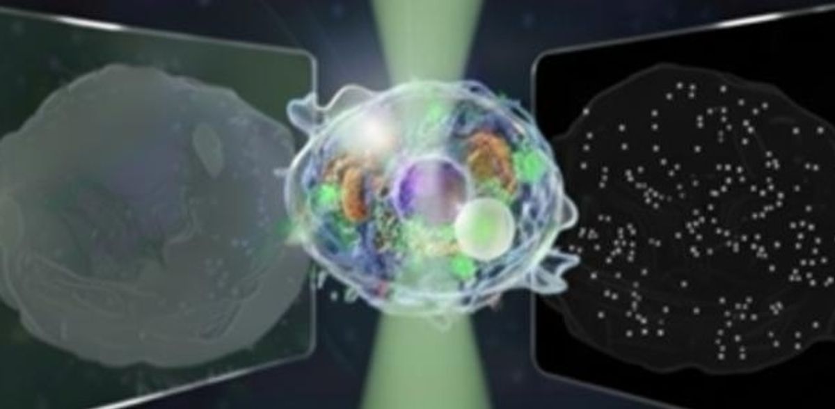 The “Great Unified Microscope” can see both micro and nanoscale structures