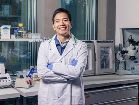 How the principle of cheese noodles helps against Alzheimer's