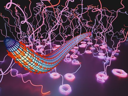 Malaria Parasites Move on Right-Handed Helices