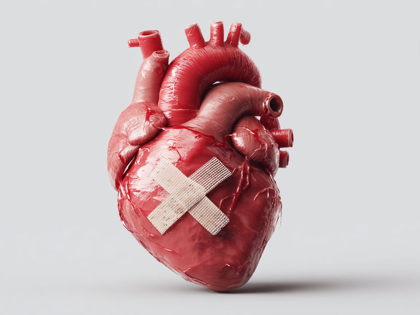 New active ingredients for the treatment of heart failure - NRW-wide HI-FIVE research project launched