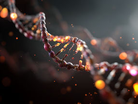 New mutation hotspot discovered in human genome