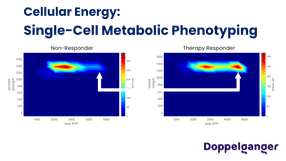 Single-Cell Metabolic Phenotyping: high-resolution profi ...